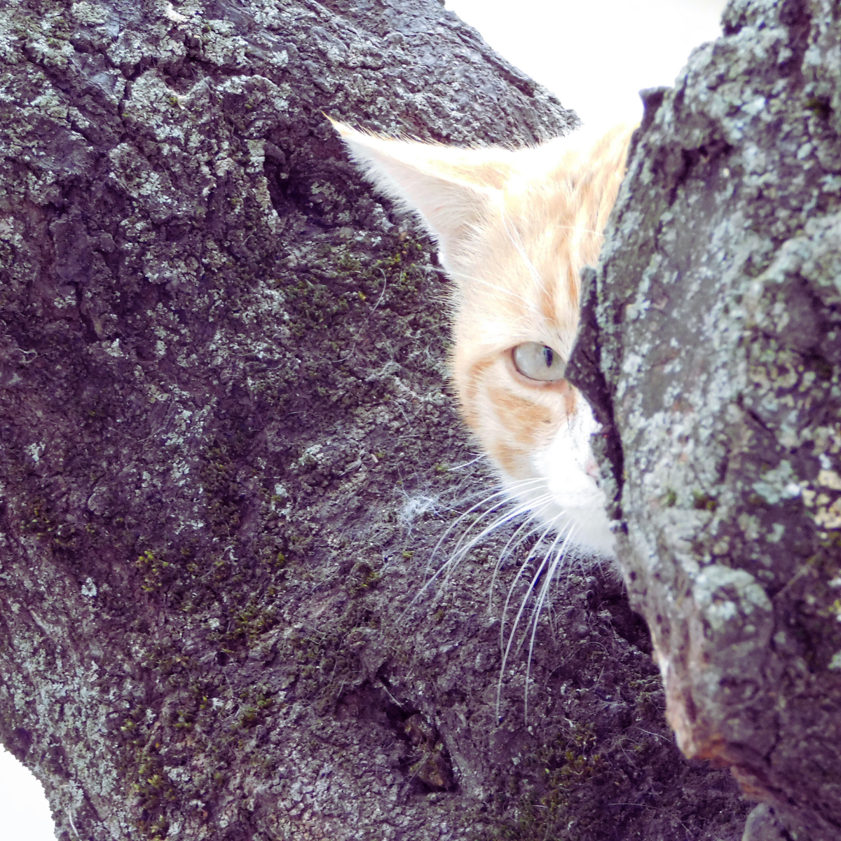 Five sneaky ways cloud has influenced on-prem workloads — SoftIron ...